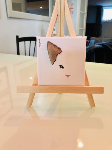MINI - Kitten