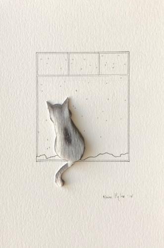 cat in the window