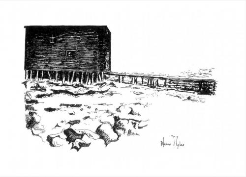 Low Tide