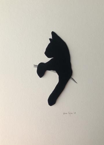 cat on shoulder