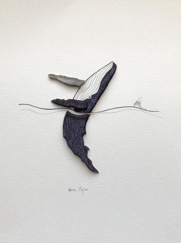 humpback whale & boat