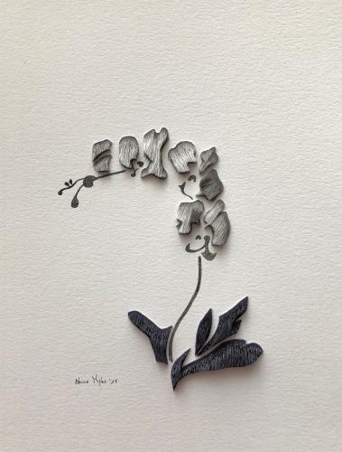 orchid 