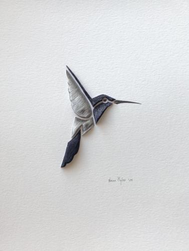 hummingbird