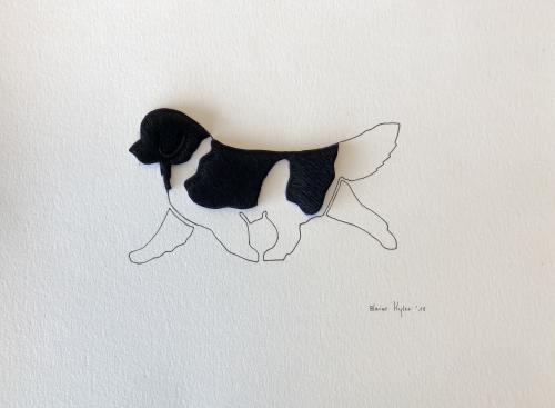 Landseer Newfoundland